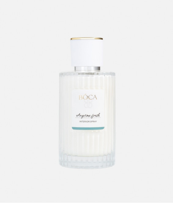 Купить Интерьерный спрей ANYTIME FRESH 100 ml Купить Интерьерный спрей ANYTIME FRESH 100 ml