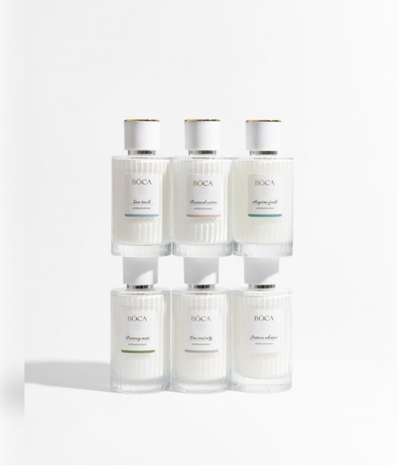 Купить Интерьерный спрей ANYTIME FRESH 100 ml Купить Интерьерный спрей ANYTIME FRESH 100 ml